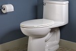 Accessible Height Toilet, Comfort Height